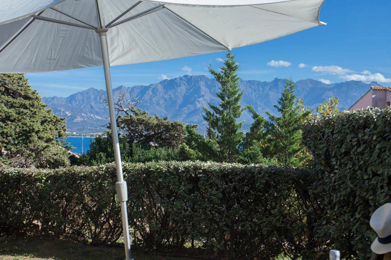 Mare Appart Avec Jardin Et Bbq Vue Mer Et Montagne Plage Et Port A 2 Pas Calvi  Exteriör bild
